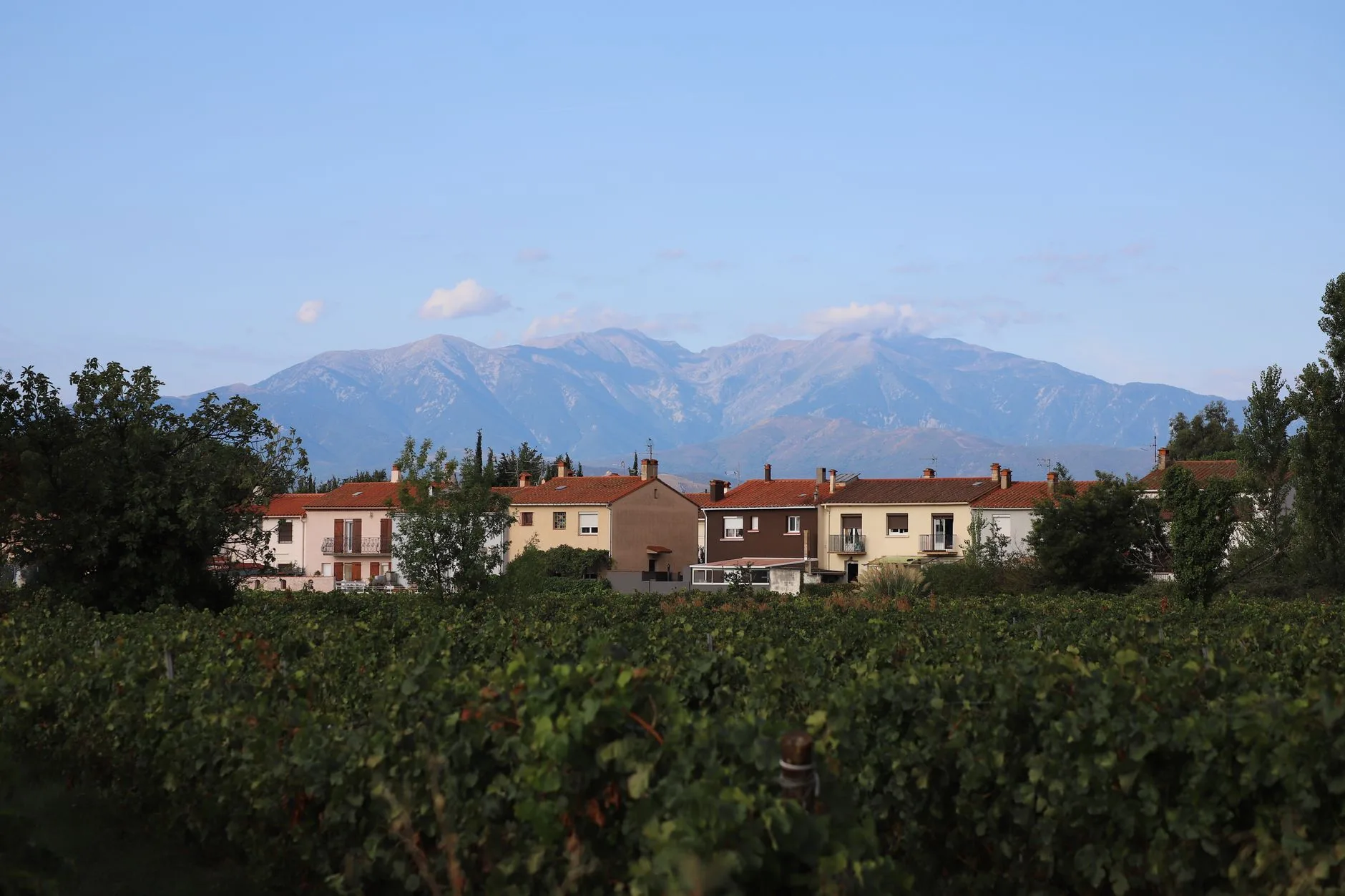 Pyrénées catalanes : Cerdagne, Capcir et Canigou